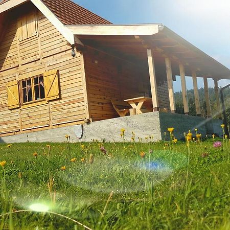 Вилла Brvnara Tara Баина-Башта Экстерьер фото