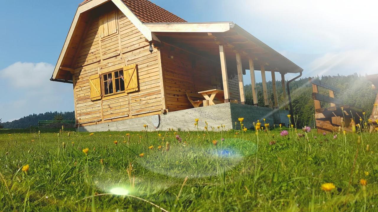 Вилла Brvnara Tara Баина-Башта Экстерьер фото